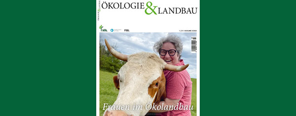 Netzwerk-News