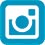 Insta Icon